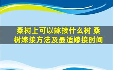 桑树上可以嫁接什么树 桑树嫁接方法及最适嫁接时间